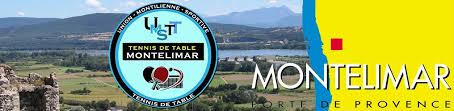 Logo UMS Tennis de Table